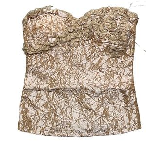 Strapless Top Lydia (M) NWT